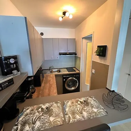 Studio Les Emeraude Five Stars House * 尼斯